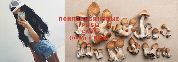 круглые Карталы
