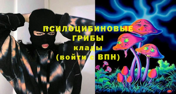 дмт Нязепетровск