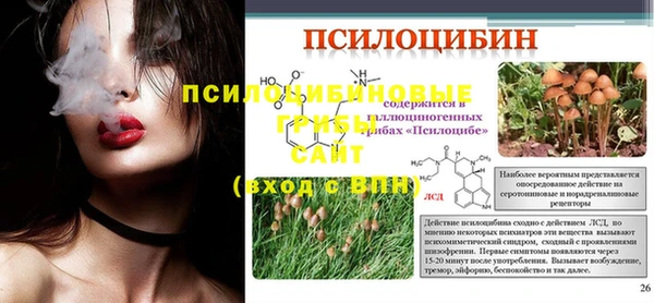 молекула духа Зеленокумск